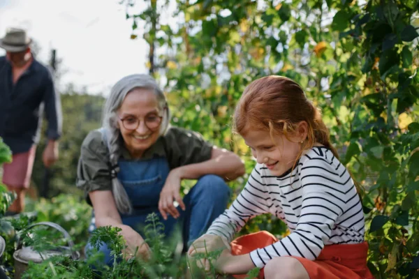 Geheimnisse erfolgreicher Flohmärkte: Tipps und Tricks