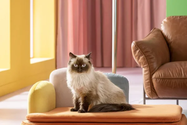 Der Zauber des Flohmarkts: Entdecken, Feilschen, Erleben