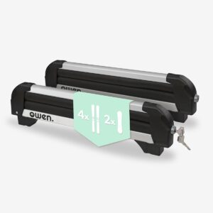 Owen Basic Silver Skiträger – Leichter Aluminium-Skihalter für 4 P...