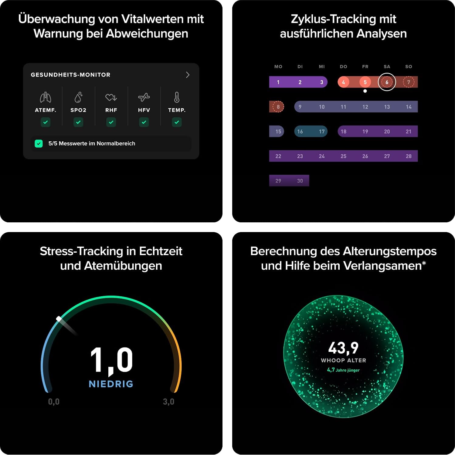 WHOOP 5.0/MG Activity Tracker – 12-monatige Mitgliedschaft – Gesundheits- und Fitness-Tracker, Schlaf-Tracking, personalisiertes Coaching – Bild 2